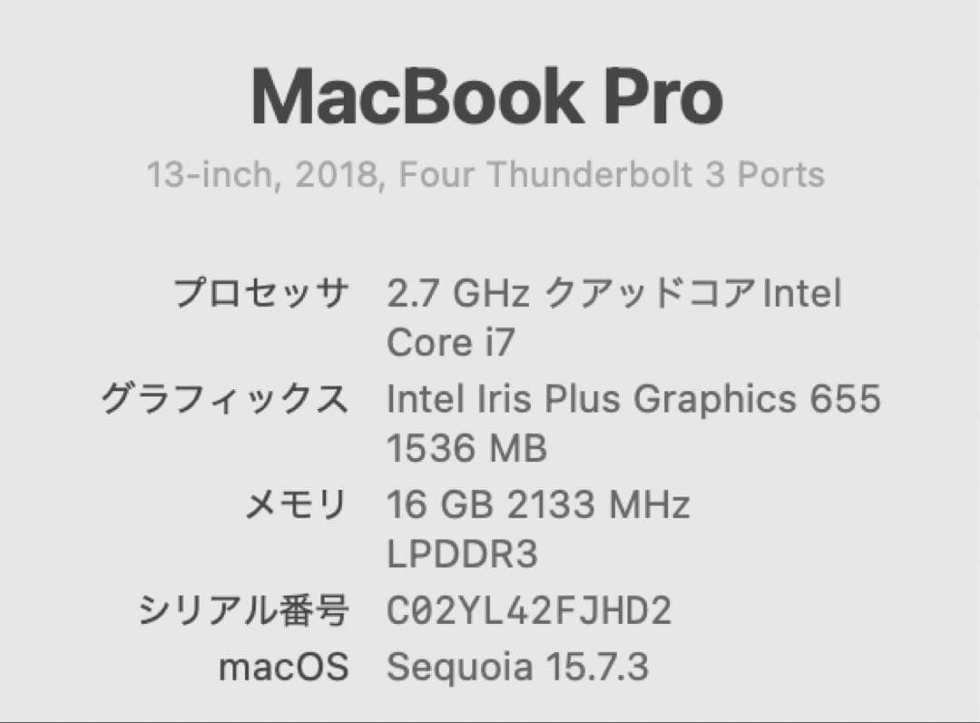 Apple MacBook pro2018(メモリ16GB) ややジャンク品