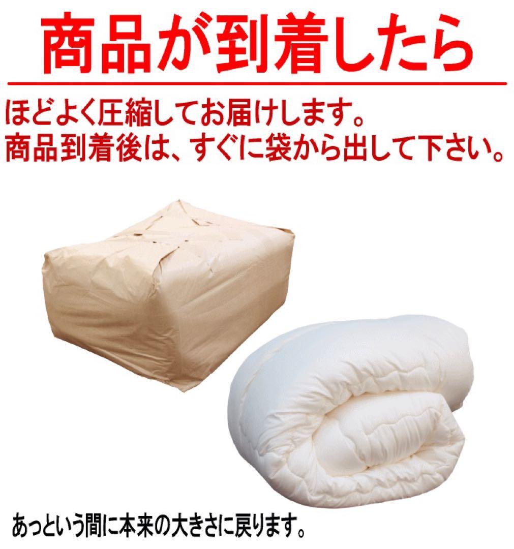 掛け布団 クイーン テイジン フィルケア 抗菌 防臭 洗える 掛布団 日本製