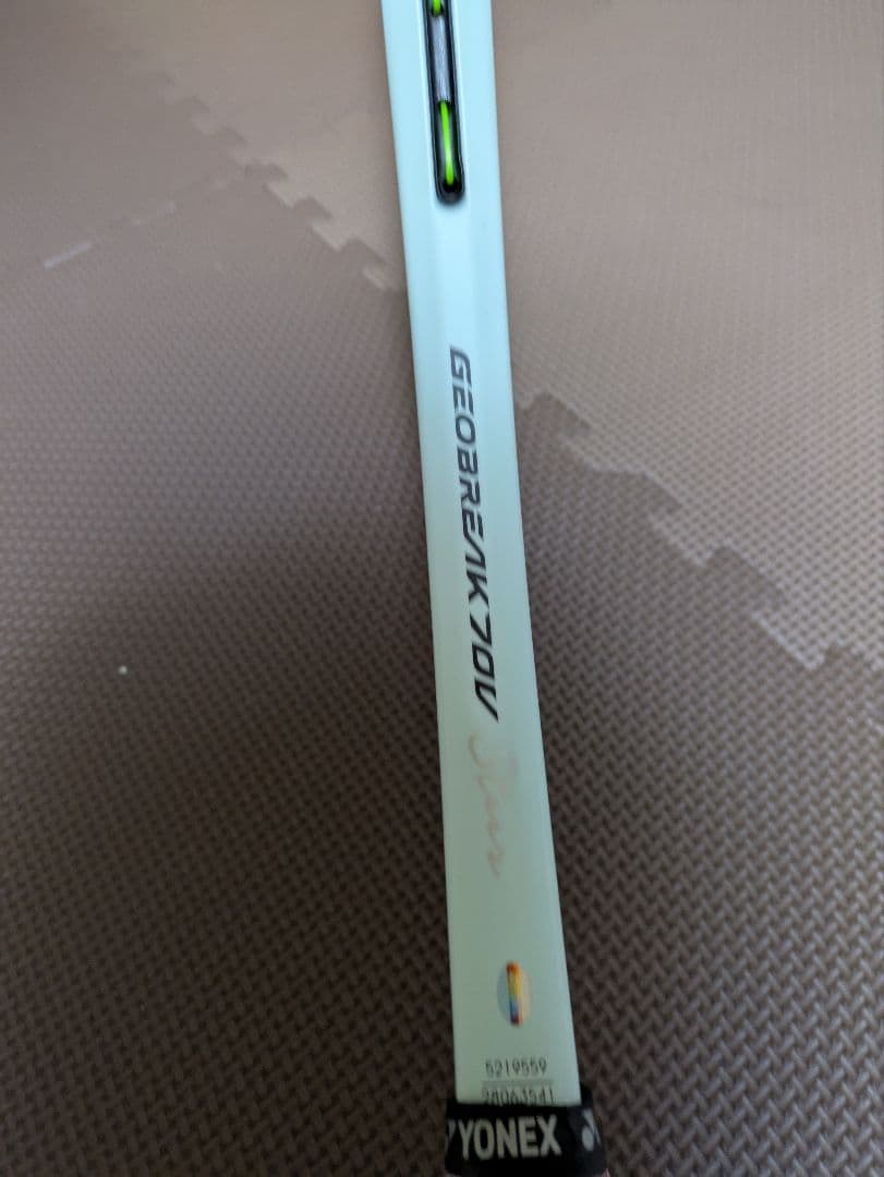 gold-wing.take-take　次世代ジオブレイク70Vステア