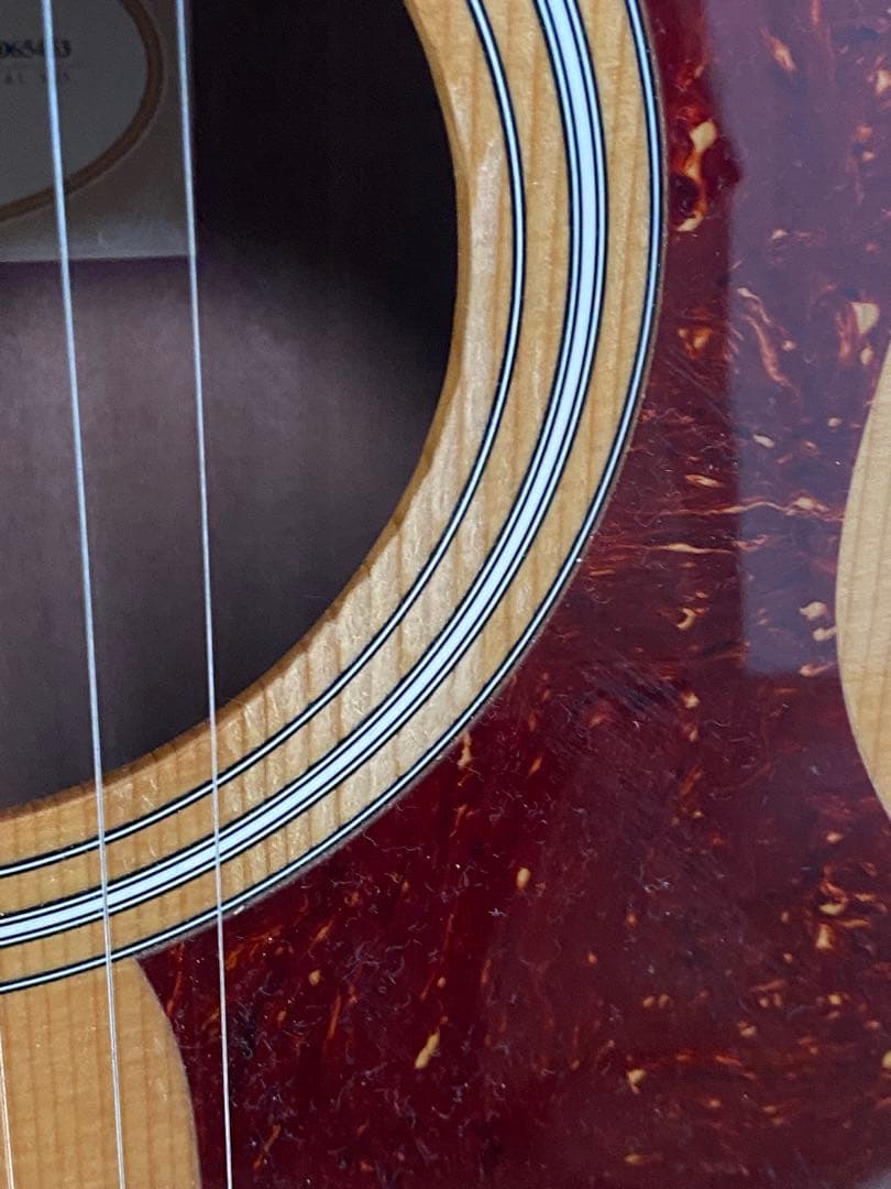 ギター Taylor 214ce es2