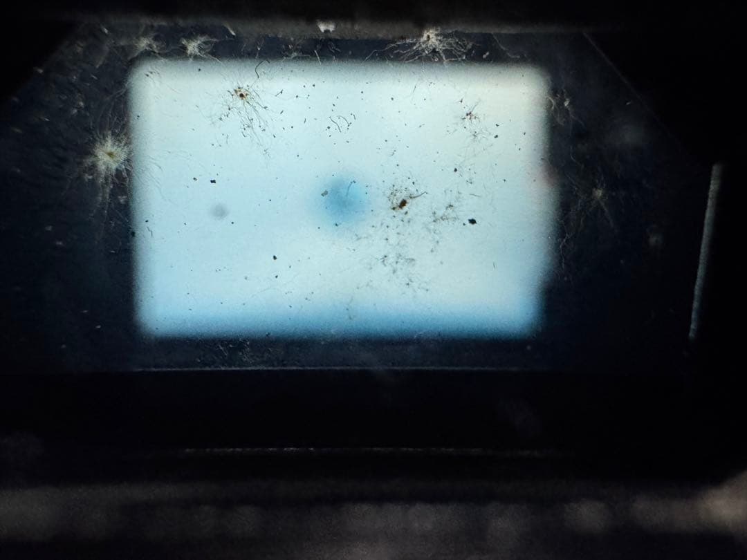 フィルムカメラ Canon AE-1 / FD 28mm f2.8 S.C.