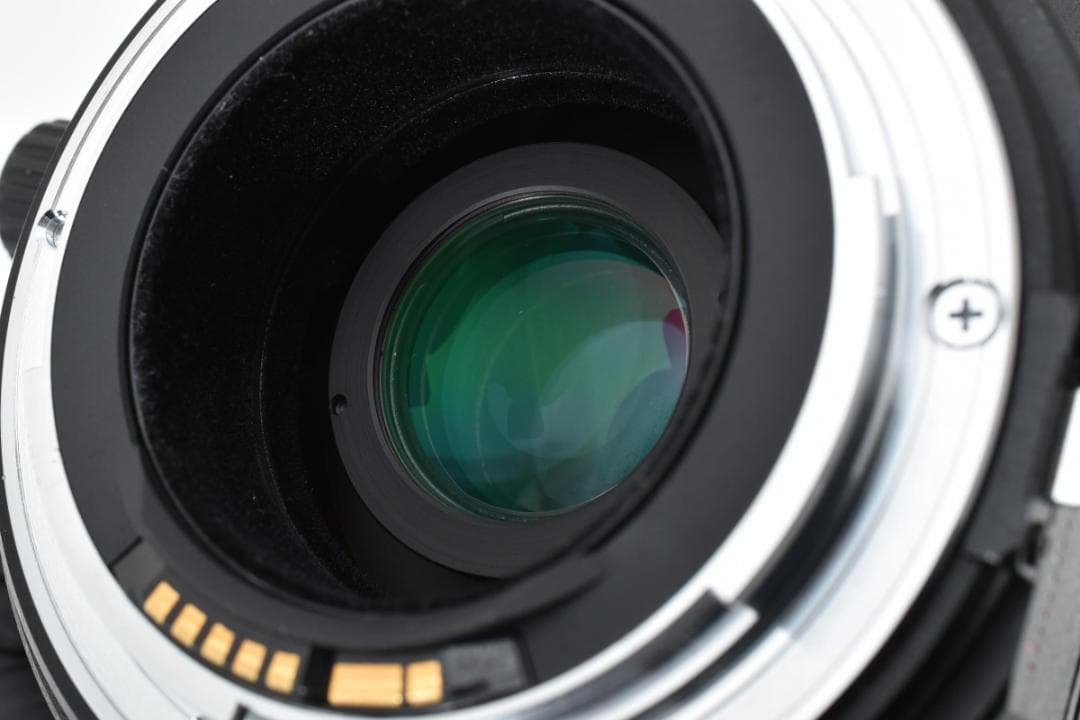 動確済 美品 キャノン TS-E 24 3.5 L Tilt Shift#693