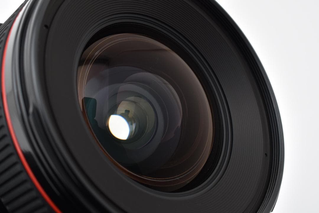 動確済 美品 キャノン TS-E 24 3.5 L Tilt Shift#693