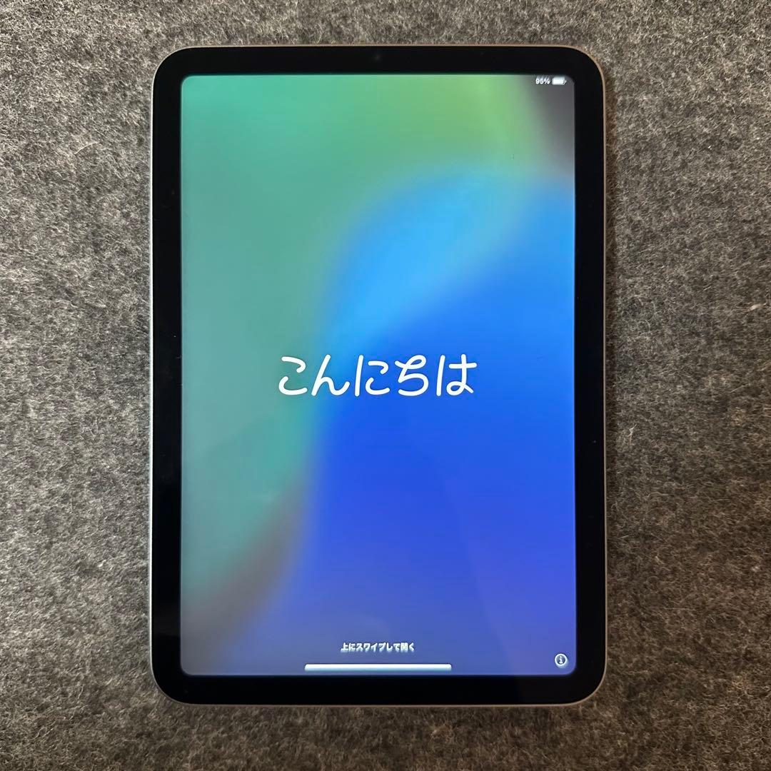 Apple iPad mini 64GB Space Gray +純正ケース