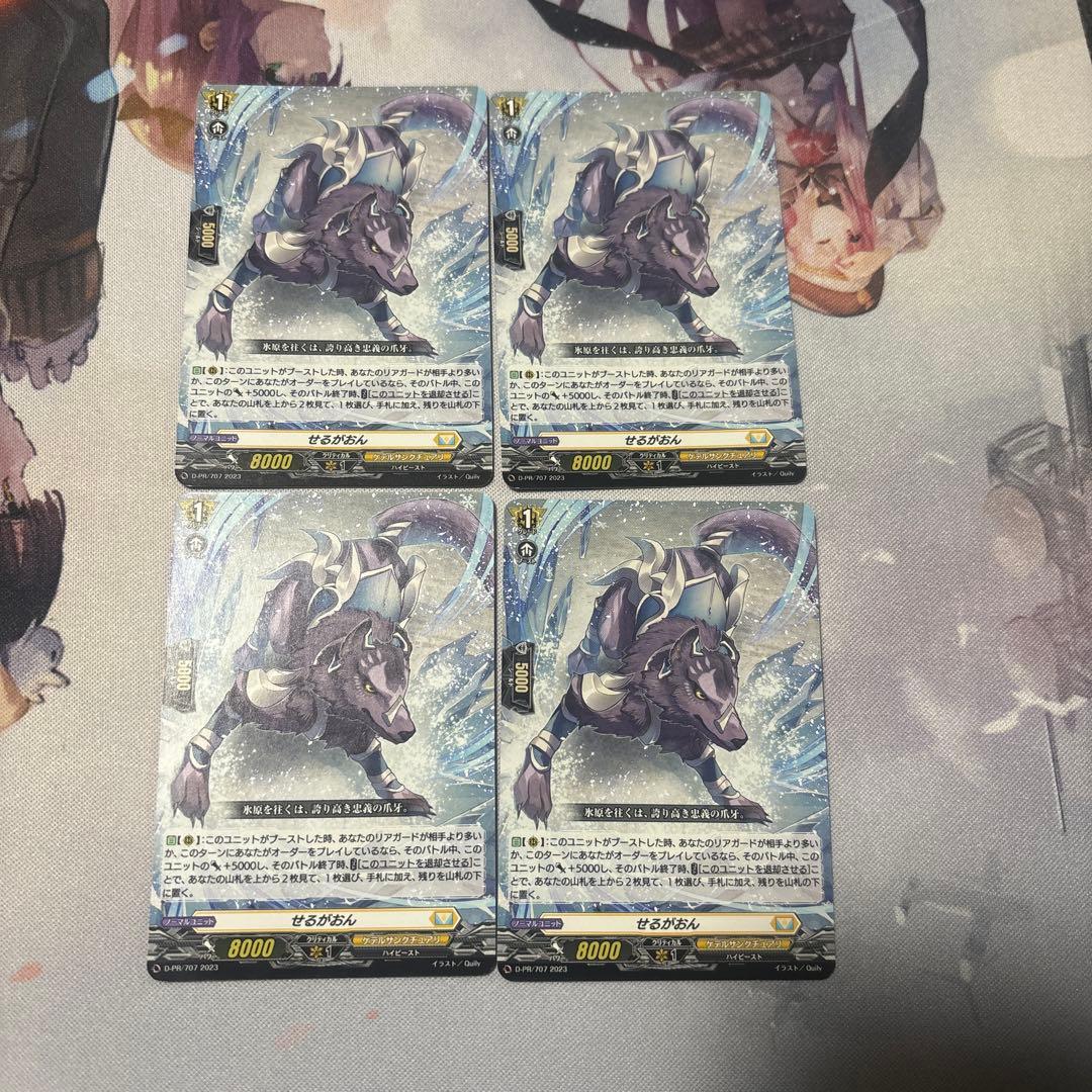 せるがおん　4枚