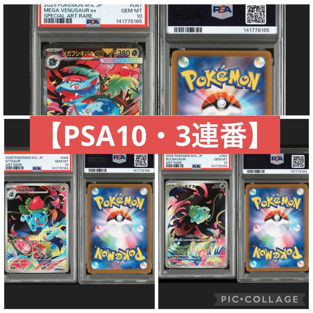 【PSA10・3連番】 フシギダネ 進化ライン