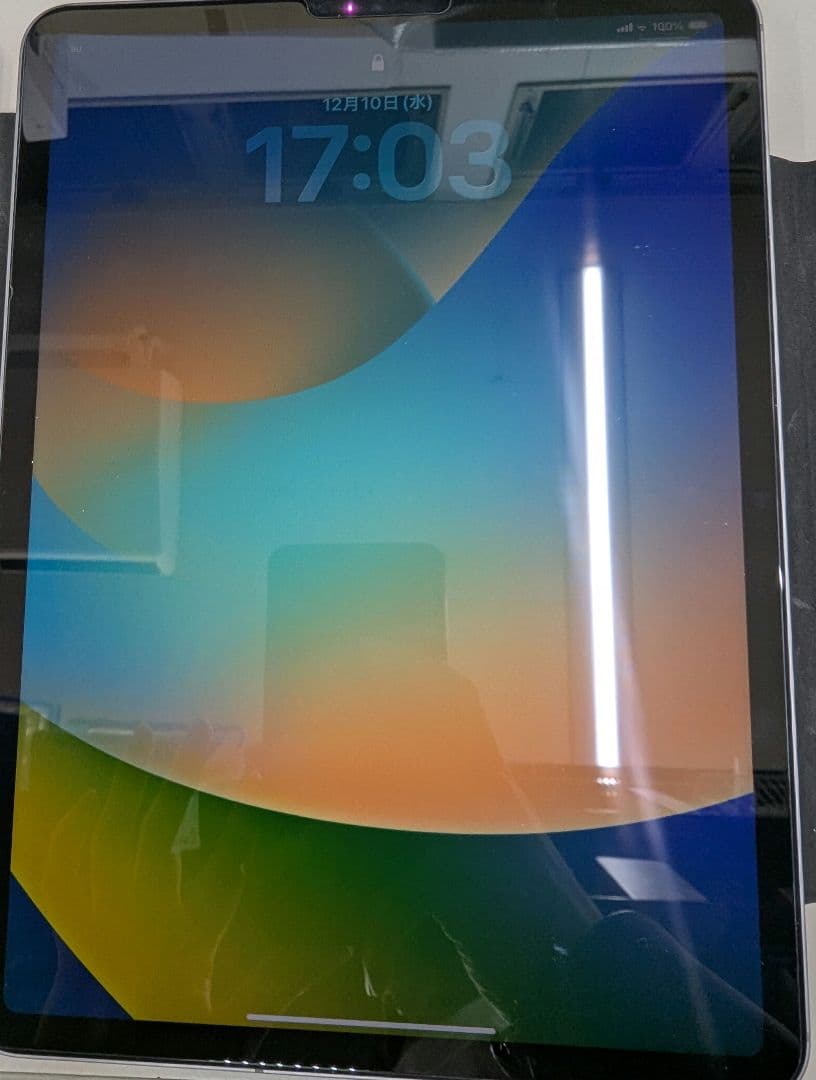 iPadPro 11インチ 第4世代 256GB Cellularモデル