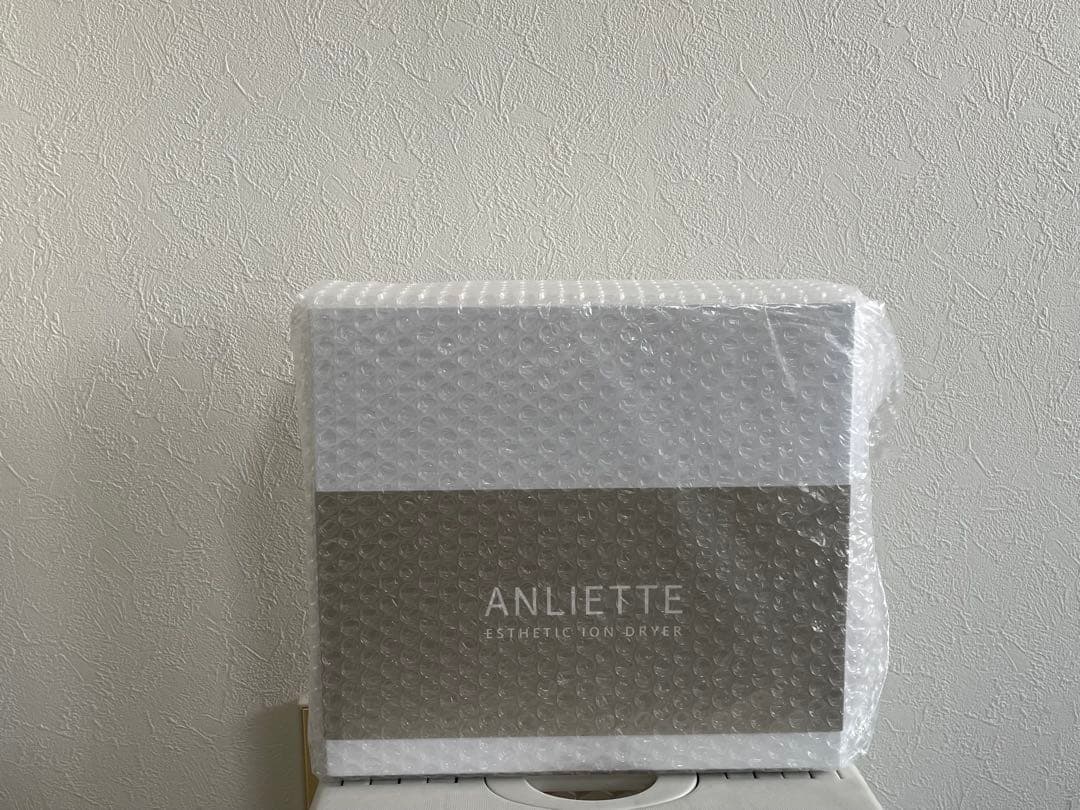 ANLIETTE ベージュ ハンドヘルドヘアドライヤー新品未使用