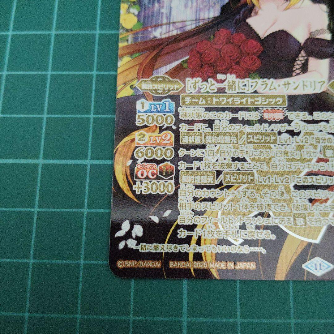 [ずっと一緒に]フラム・サンドリア シークレット