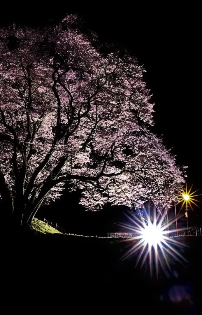 Tokina AT-X PRO SD11-20 F2.8DX　(中古)