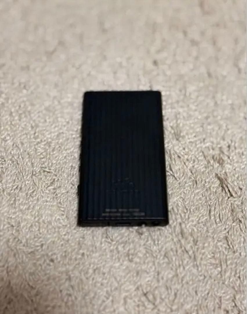 SONY WALKMAN NW-A306 32GB ケース+128GB SD付き