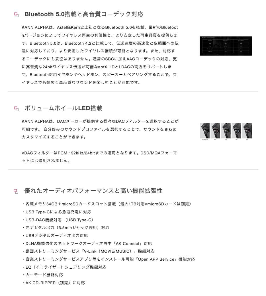 Astell&Kern KANN ALPHA + 別売 純正ケース