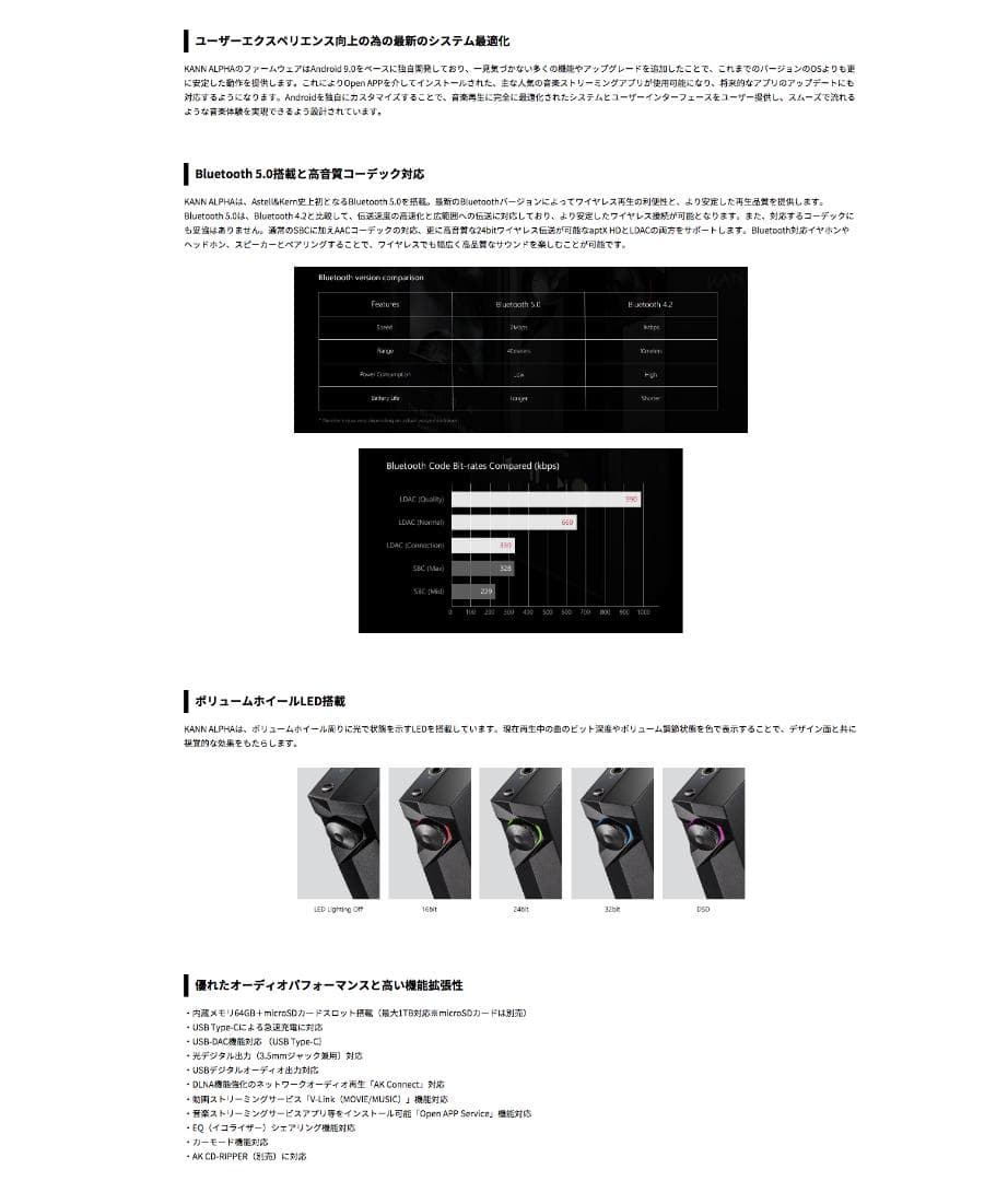 Astell&Kern KANN ALPHA + 別売 純正ケース