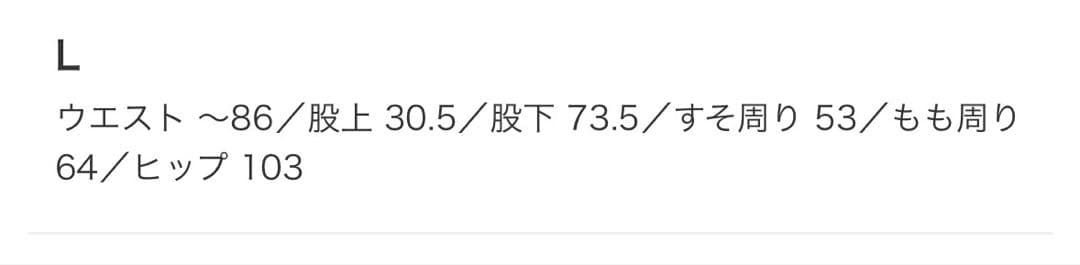 BEAMS 【別注】Dickies / ワイド チノ パンツ