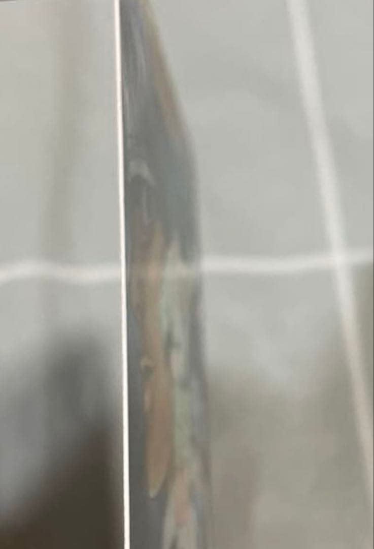 週刊少年ジャンプ　オールスターカードコレクション vol.3 （4種）