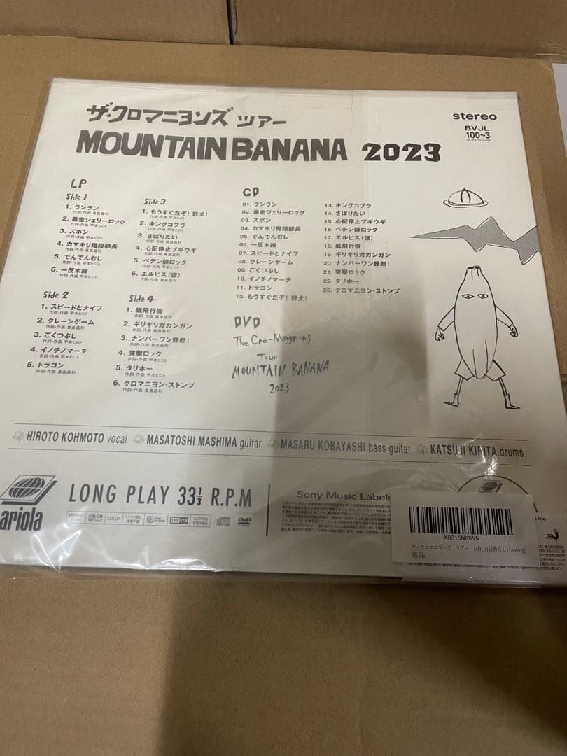 ザ・クロマニヨンズ ツアー MOUNTAIN BANANA 2023