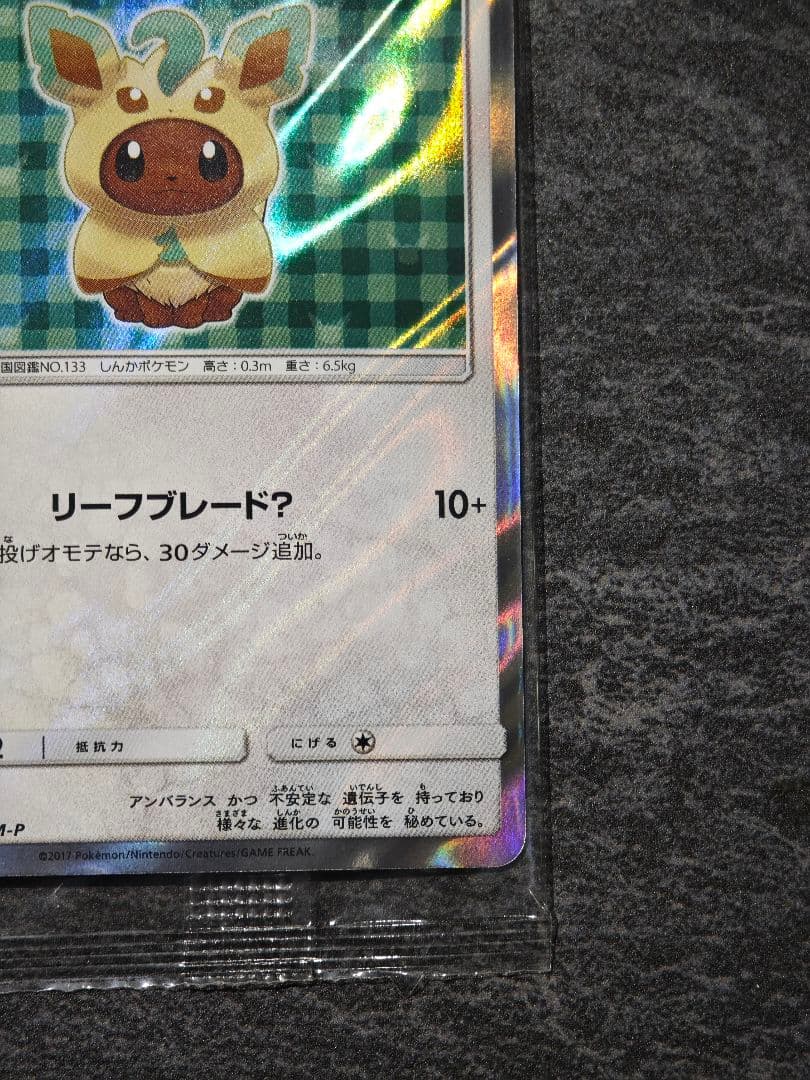 ポンチョを着たイーブイ: [SM-P 142](プロモーションカード「SM-P」