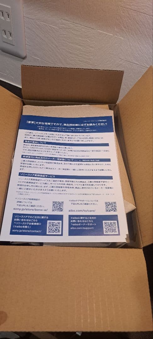 SONY　ワイヤレスイヤホン　WF-1000XM5