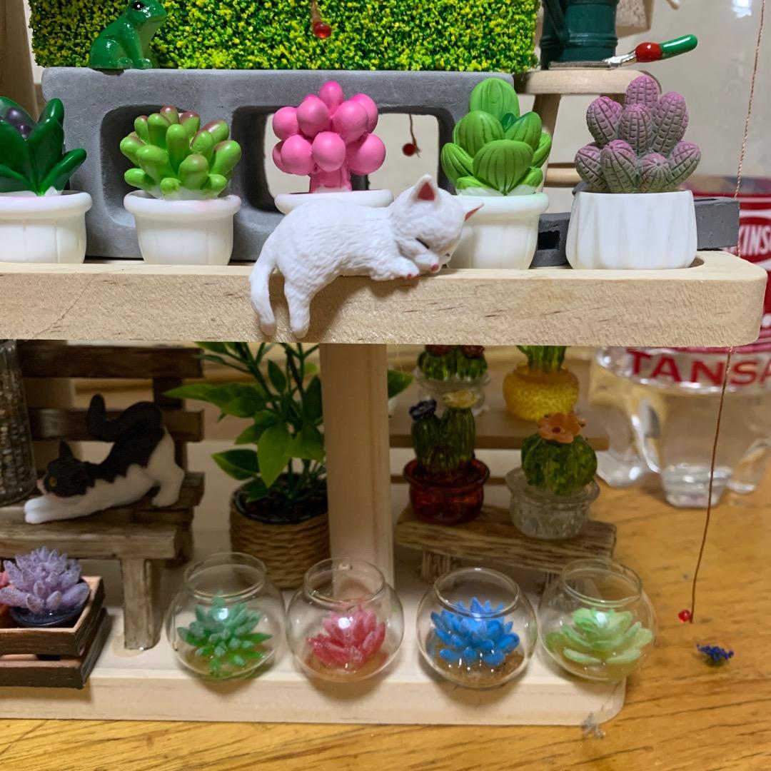ミニチュア猫島アイランドフェイクガーデン、ハンドメイド、1点物、多肉植物サボテン