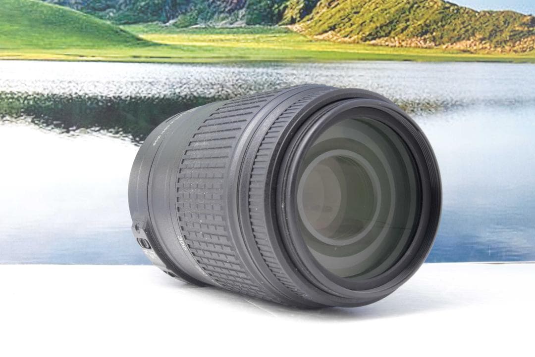 ニコン Nikon AF-S 55-300mm F4.5-5.6G VR