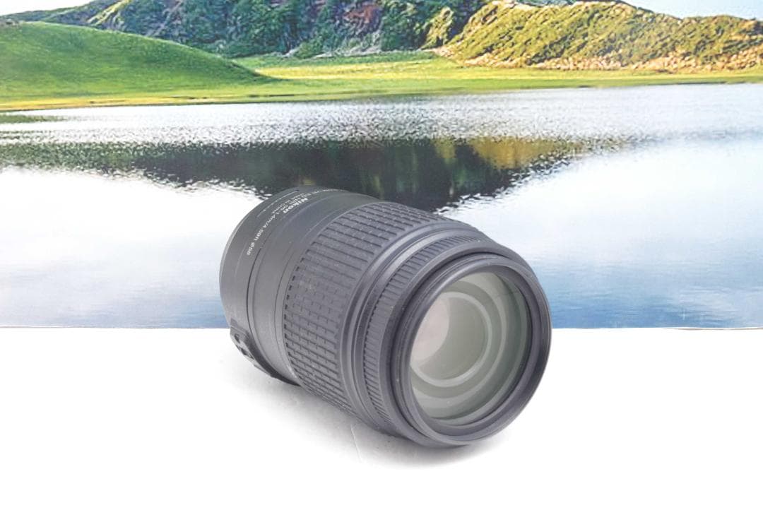 ニコン Nikon AF-S 55-300mm F4.5-5.6G VR