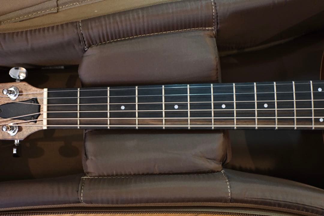 Taylor GS mini-e Mahogany ピックアップ付