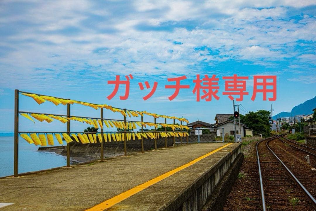 ガッチ　長崎カステラ切り落とし42パック＆文具セット