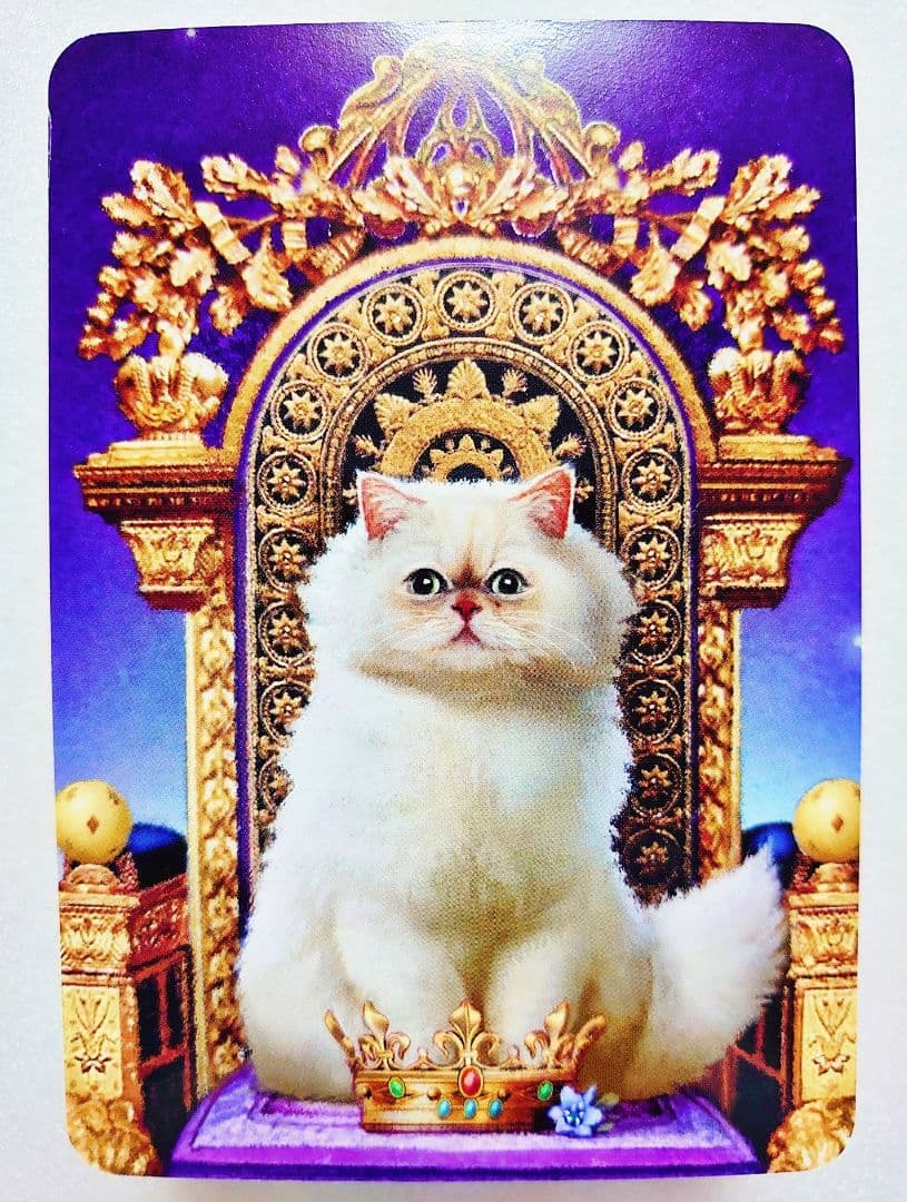 アニマルタロットカード セイント&エンジェルオラクルカード セット売り