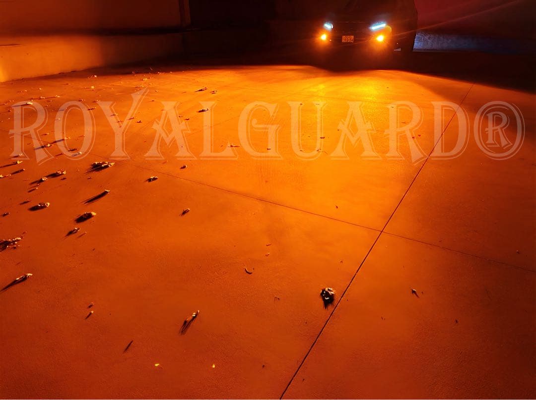 2026年　ロイヤルガードオメガ LEDフォグ アンバー　H8 H11 H16