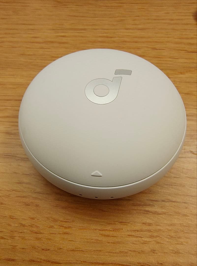 Anker Soundcore Sleep A20 睡眠用イヤホン