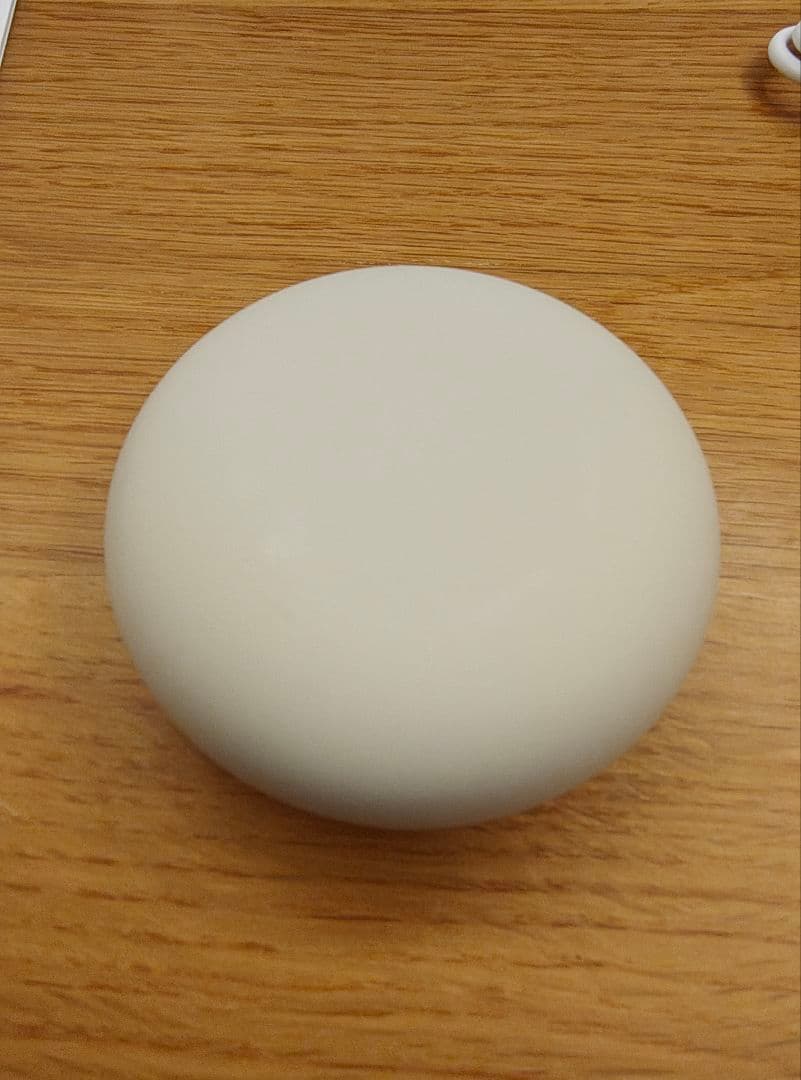 Anker Soundcore Sleep A20 睡眠用イヤホン