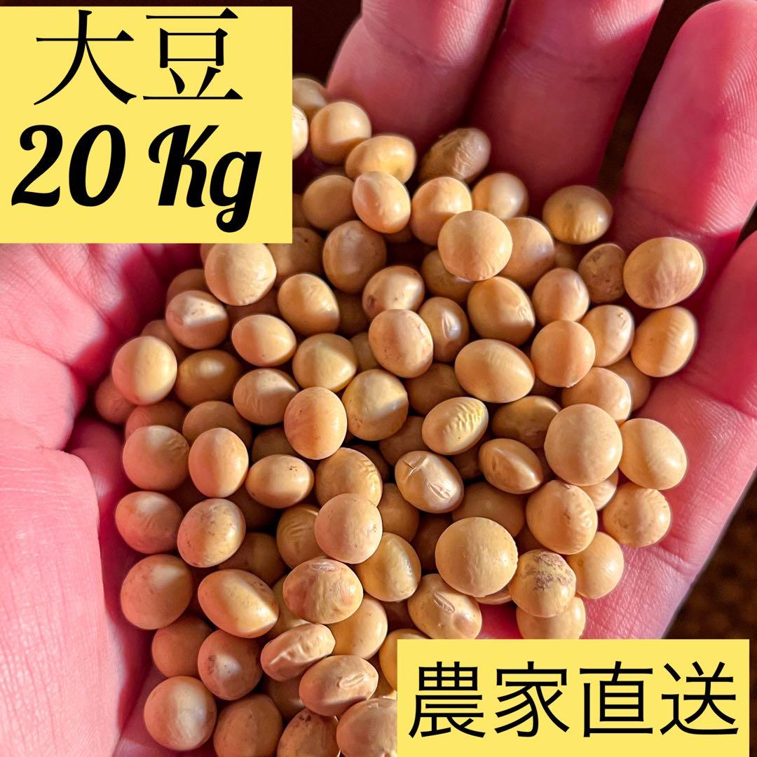 20KG【新収穫】茨城の大豆 里のほほえみ