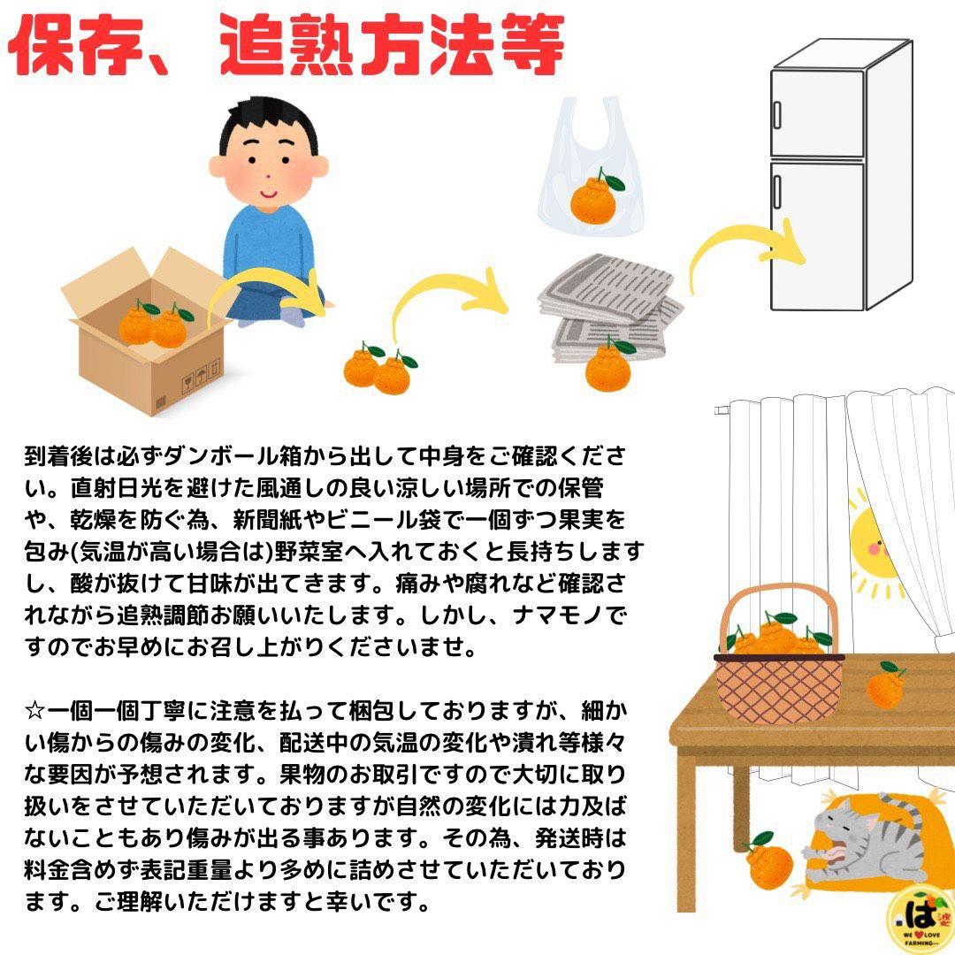 ※確認用　訳あり　大玉MIX箱込み4.5kg以上【露地栽培　不知火　デコポン】