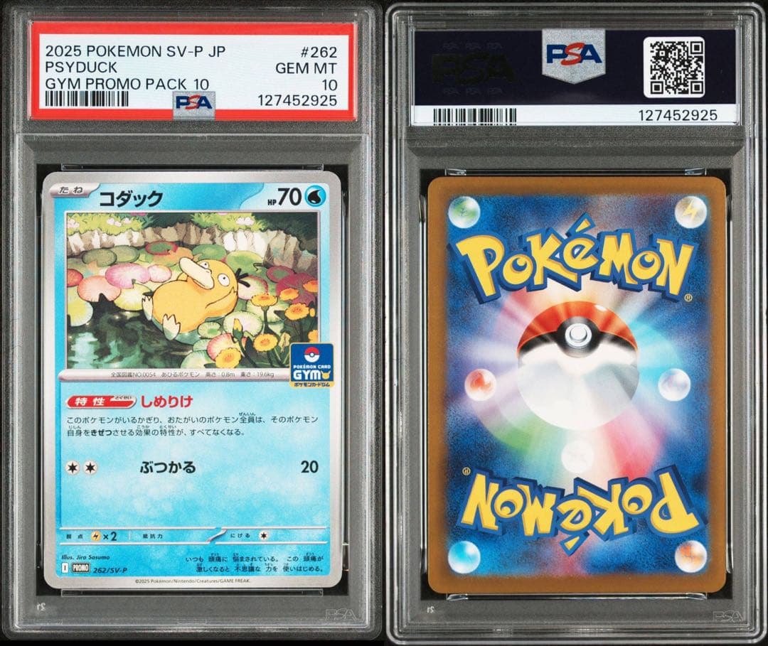 【PSA10】 コダック ジムプロモ しめりけ 262/SV-P 3連番