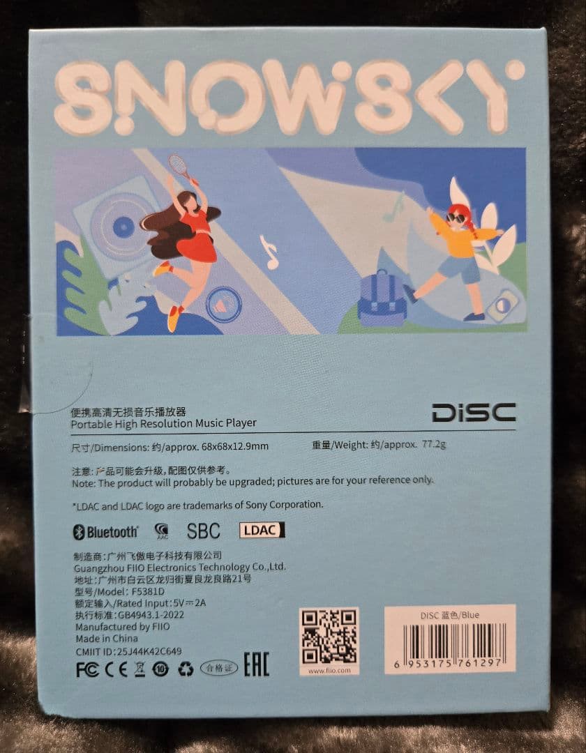 【ほぼ未使用】FiiO Echo Disc　デジタルオーディオプレイヤー