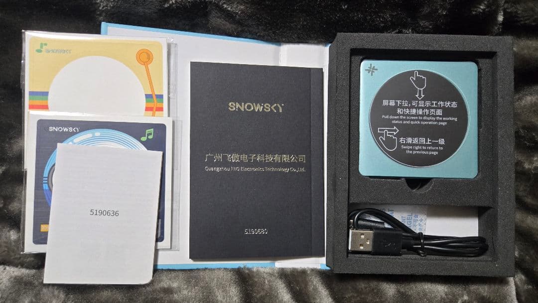 【ほぼ未使用】FiiO Echo Disc　デジタルオーディオプレイヤー