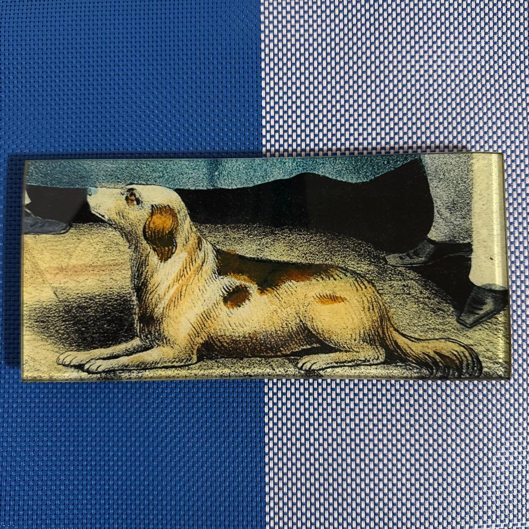 祝日sale⭐︎John Derian ジョンデリアン デコパージュプレート