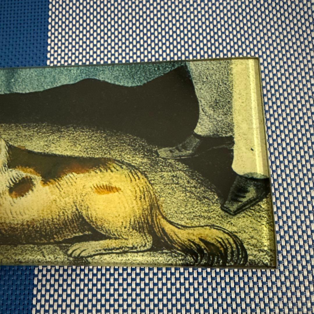 祝日sale⭐︎John Derian ジョンデリアン デコパージュプレート