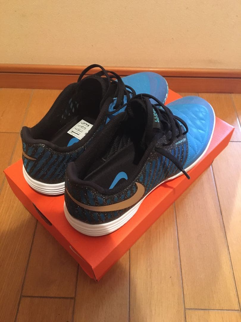 ナイキルナガト2 フットサルシューズ