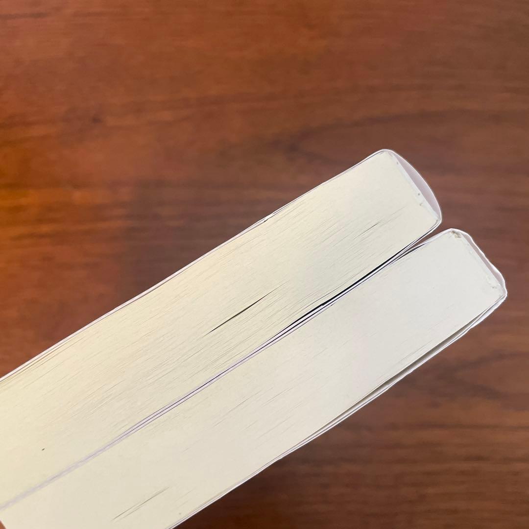 Y*I様 メディアの支配者 上　下