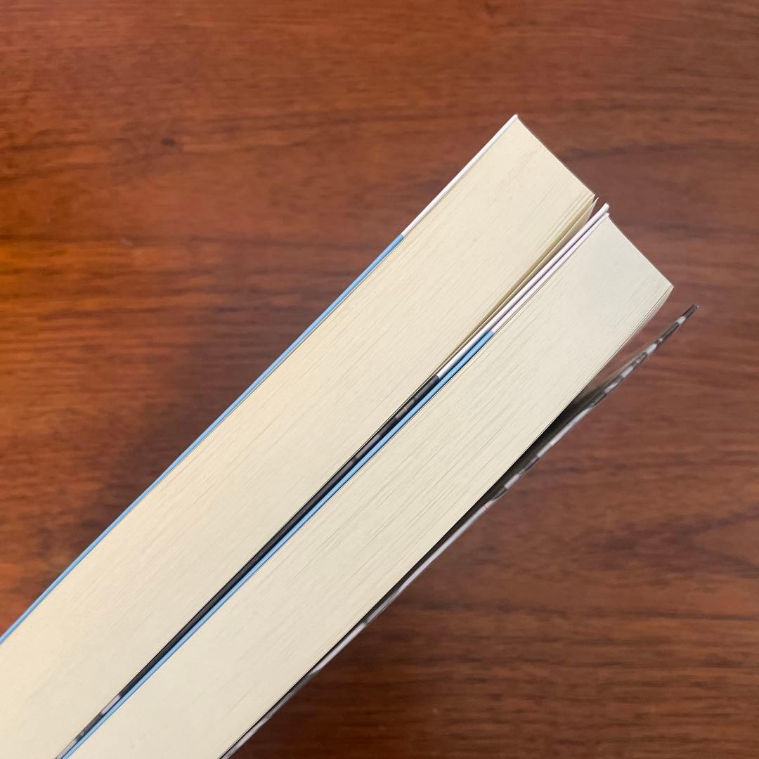 Y*I様 メディアの支配者 上　下