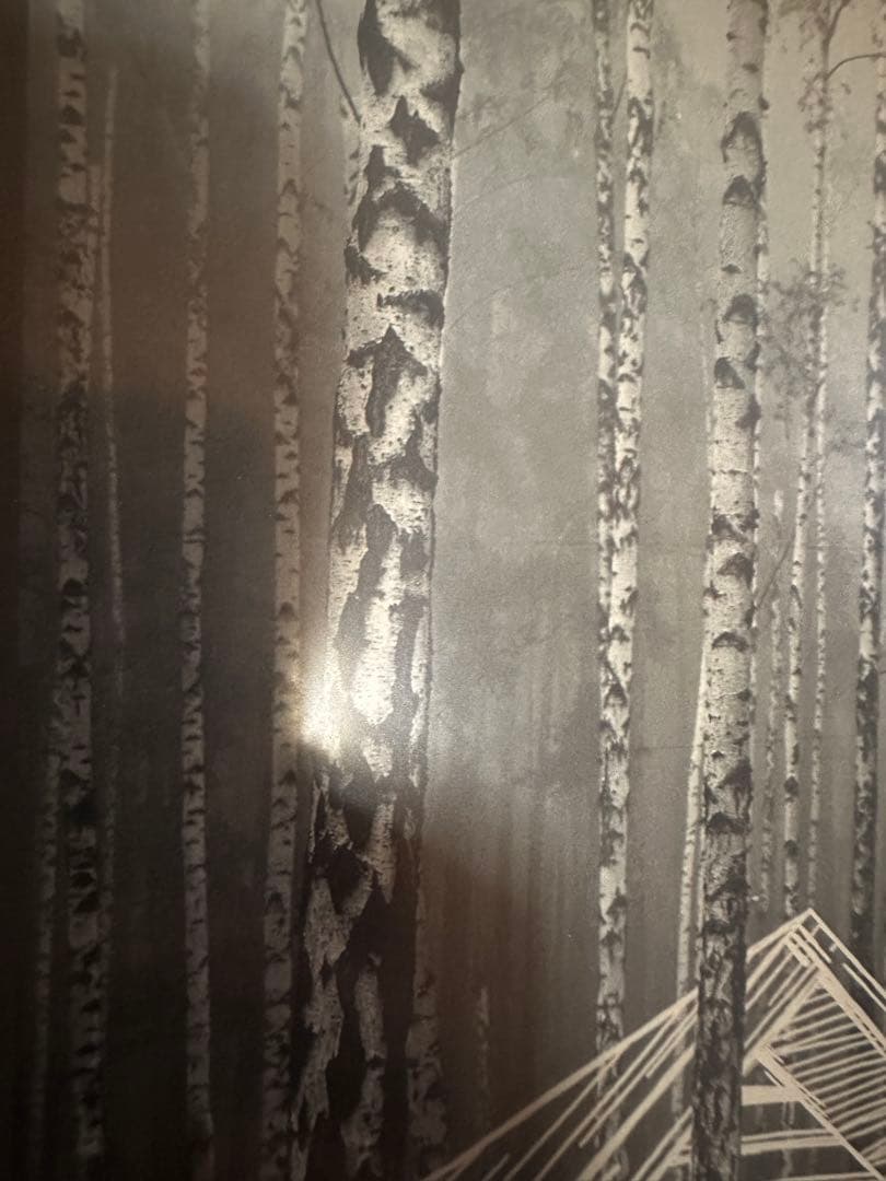 Kindle Scribe キンドル スクライブ (16GB)