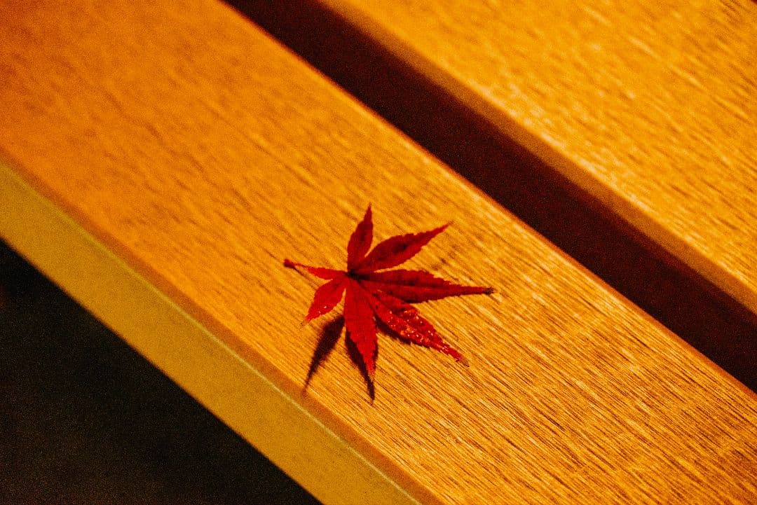 デジタルカメラ Nikon z5