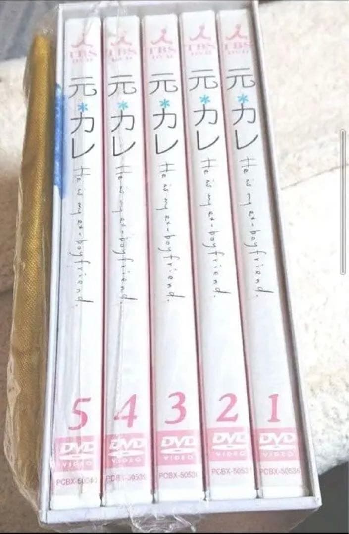 元カレ DVD-BOX〈初回限定生産・5枚組〉