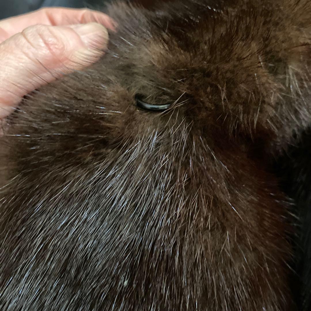 ミンクのコート