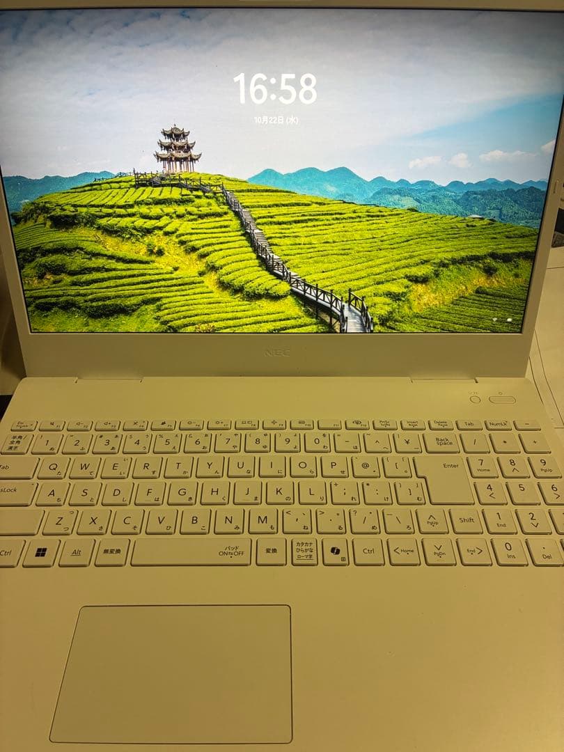 【美品】NEC LAVIE Direct N15