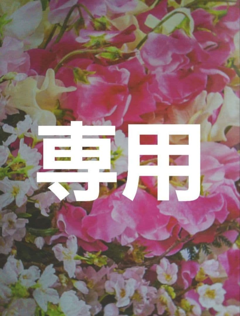 ぶーちゃん4点おまとめ 他の方は購入をお控え下さい