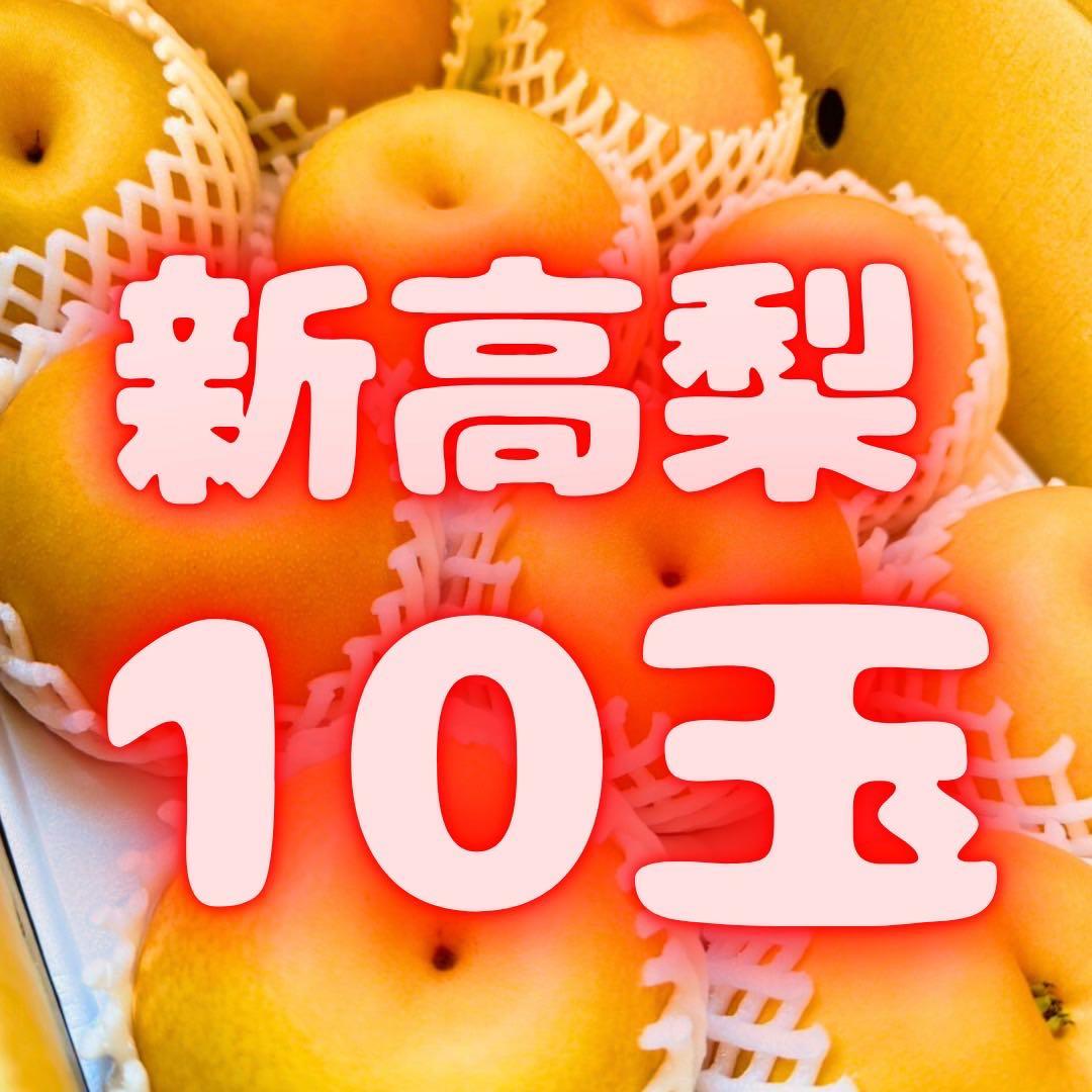 梨　新高梨　10玉　　07