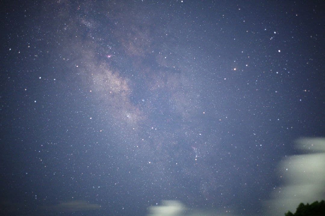 レンズ(単焦点) aus JENA Flektongon 2.8/35