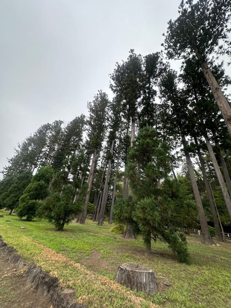 【大特価】Apple iPhone 14 Pro ホワイト 本体